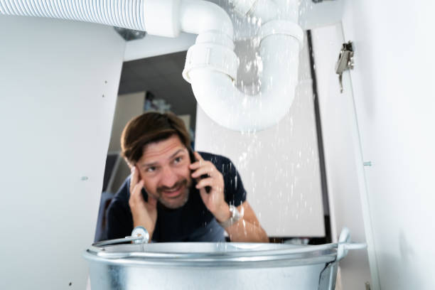 Best Sewer Line Replacement  in Carpentersvle, IL