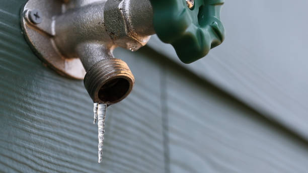 Best Emergency Plumbing Repair  in Carpentersvle, IL
